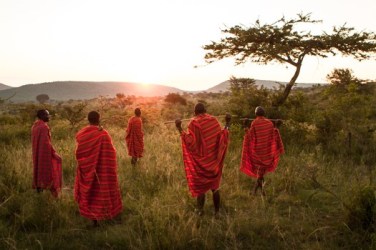 "Geisha Tree" by Michael Desmond