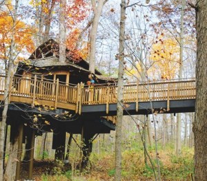 Mount Airy Forest’s public treehouse - Photo: Stephanie Mathena